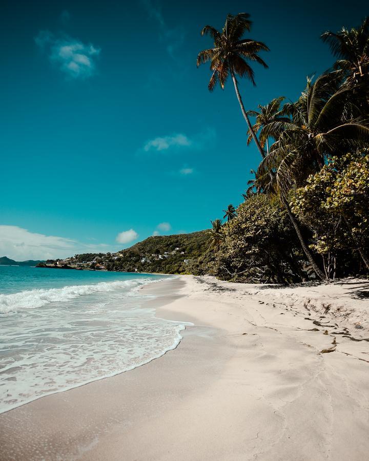 Bequia Beach Hotel - Luxury Resort Friendship Exterior photo